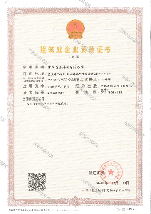 电子与智能化贰级