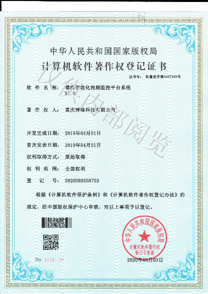 智能化视频监控平台.jpg